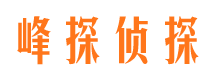 任县市私家侦探